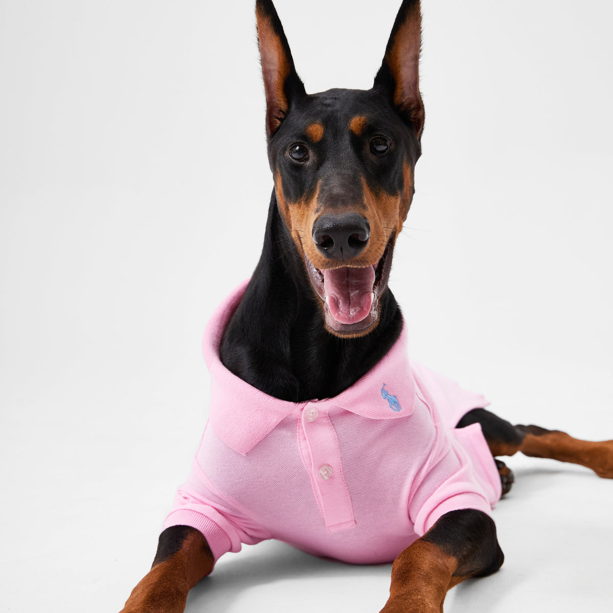 Apparel